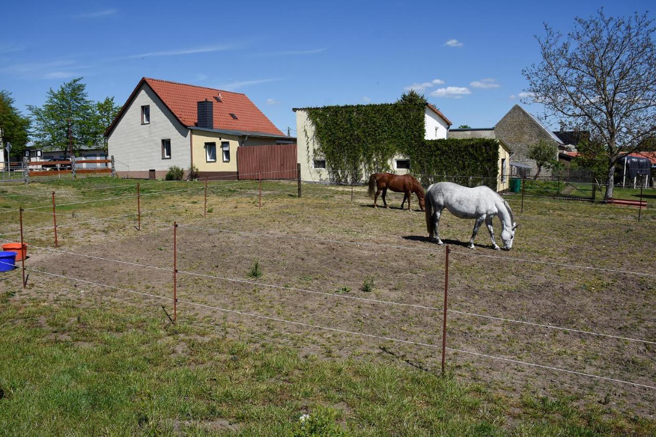 Barrierefreie Ferienwohnung Trueben Bornum Luaran gambar